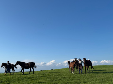 有限会社笠松牧場-2
