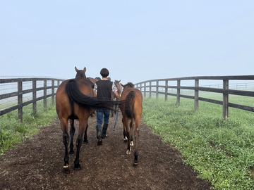 有限会社笠松牧場-1