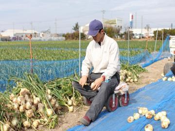 株式会社あったか農場-7