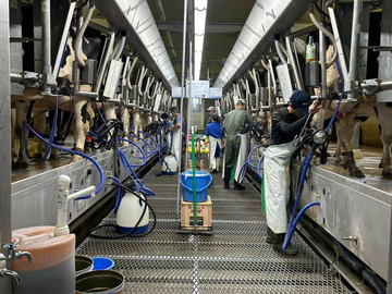 ウエイトレスネス株式会社-1