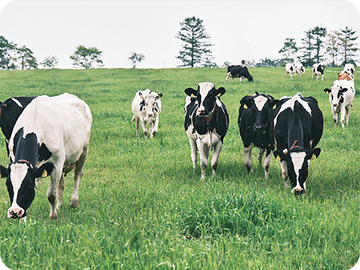 株式会社別海ウェルネスファーム-6