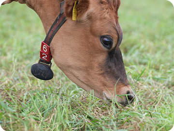 株式会社別海ウェルネスファーム-1