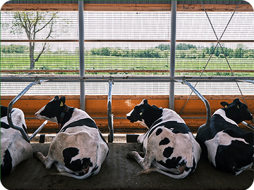 株式会社別海ウェルネスファーム-3