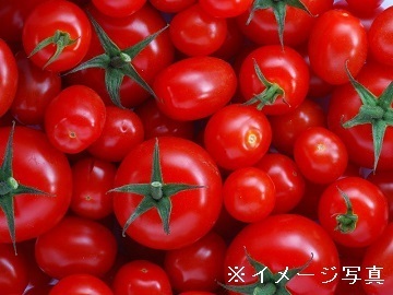 北海道伊達市×植物工場/法人【42312】-1