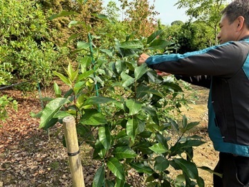 内山グリーン株式会社-top