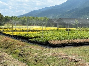 内山グリーン株式会社-2