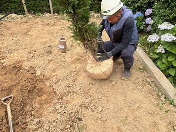 内山グリーン株式会社-4