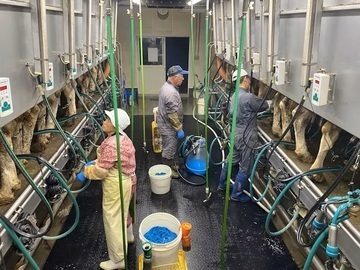 おのでら牧場-3