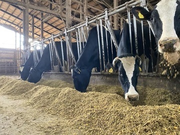 おのでら牧場-4