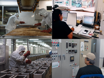 株式会社プラスナレッジ【波照間島】-4