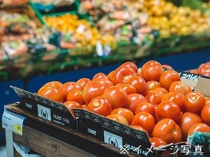 静岡県袋井市×店舗スタッフ(青果担当)/法人【42316】-top