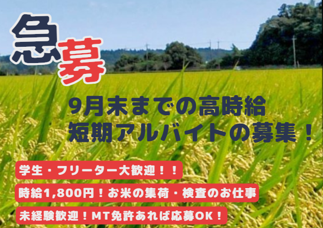 株式会社金内神命堂【期間限定アルバイト】