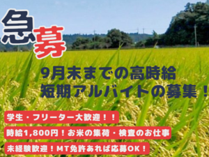 株式会社金内神命堂【期間限定アルバイト】-top