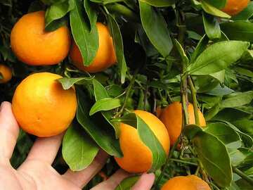 水浅青果株式会社-1