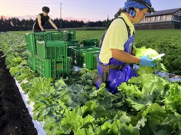 笛田ファーム-4