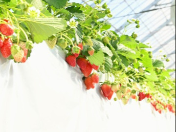 ＠farm(三共木工株式会社)-2