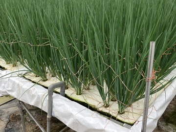 クライム株式会社-5