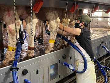 レインボーファーム-7