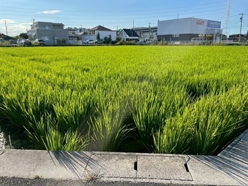 杉浦トラクター-2