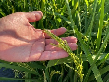 杉浦トラクター-3