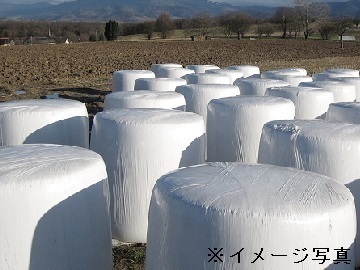 長野県富士見町×酪農/個人【35409】-2