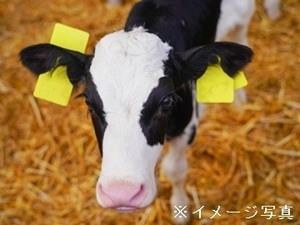 栃木県那須塩原市×酪農/個人【33367】-top
