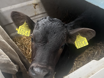 株式会社高橋牧場-2