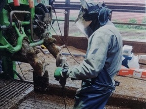 合同会社テイエイ-top