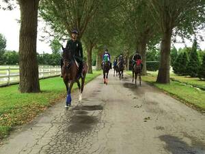 大瀧ステーブルス-top