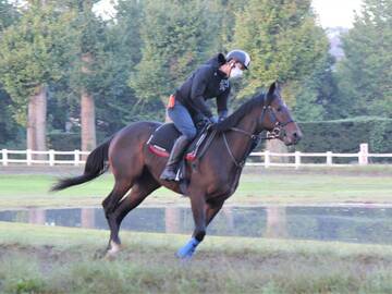 大瀧ステーブルス-1