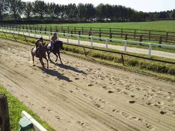 大瀧ステーブルス-3