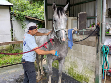 大瀧ステーブルス-5