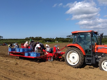 公益財団法人 種子島農業公社-2