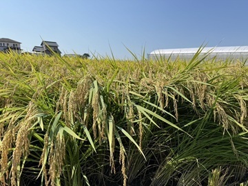 桂愛オペレーター-3