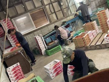 株式会社THREE ARROWS-3