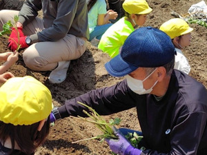 社会福祉法人プラナの森-top