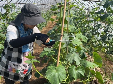 社会福祉法人プラナの森-1