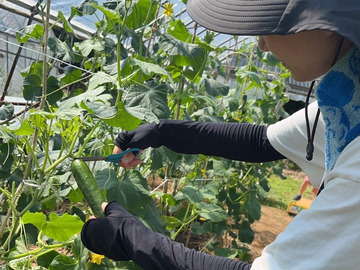 社会福祉法人プラナの森-7