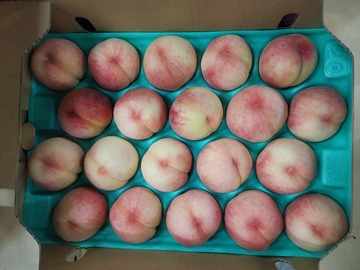 株式会社大宮中央青果市場-1