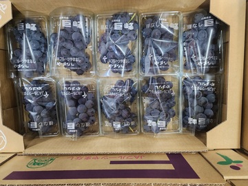 株式会社大宮中央青果市場-3