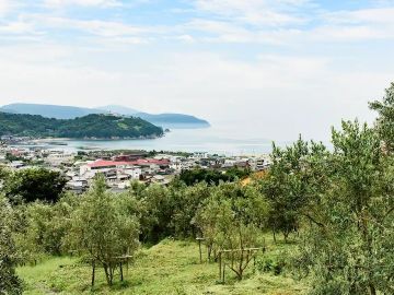 東洋オリーブ株式会社-1