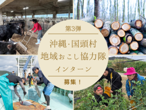 沖縄県国頭村 地域おこし協力隊インターン募集-top