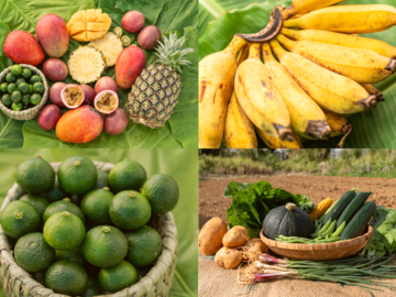 沖縄県国頭村 地域おこし協力隊インターン募集-2