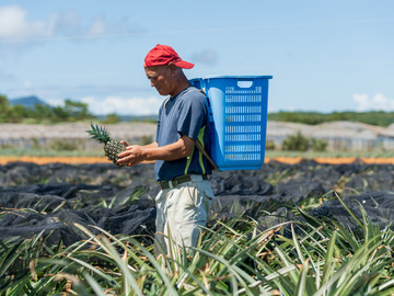沖縄県国頭村 地域おこし協力隊インターン募集-3