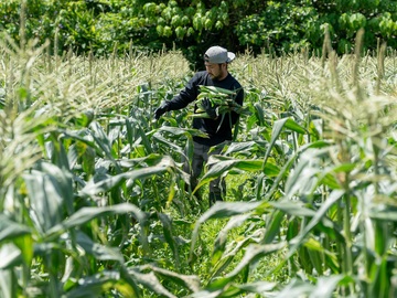 沖縄県国頭村 地域おこし協力隊インターン募集-4