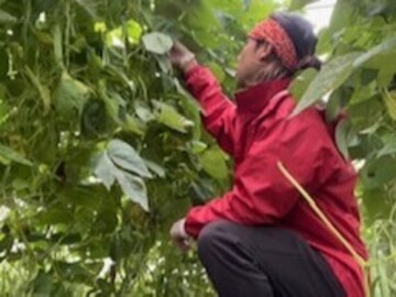 沖縄県国頭村 地域おこし協力隊インターン募集-5