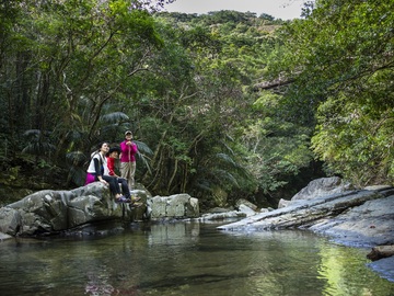沖縄県国頭村 地域おこし協力隊インターン募集-7
