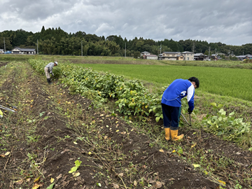 有限会社オアシスランド-1