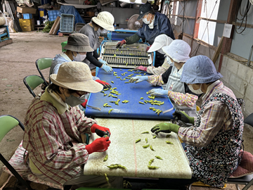 有限会社オアシスランド-2