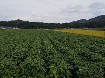 有限会社オアシスランド-7